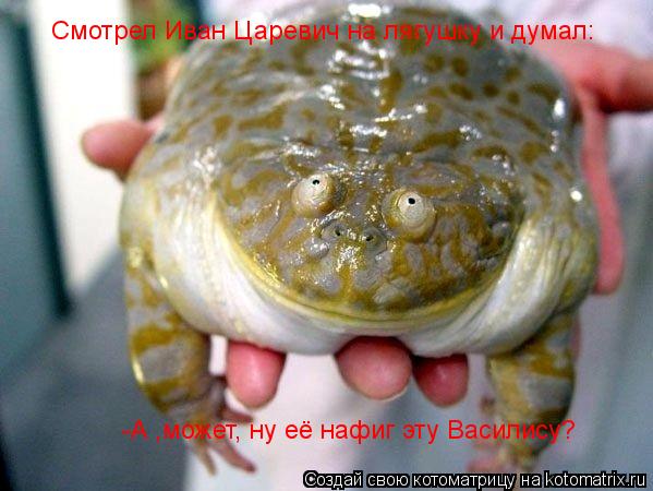 Котоматрица: Смотрел Иван Царевич на лягушку и думал: -А ,может, ну её нафиг эту Василису?