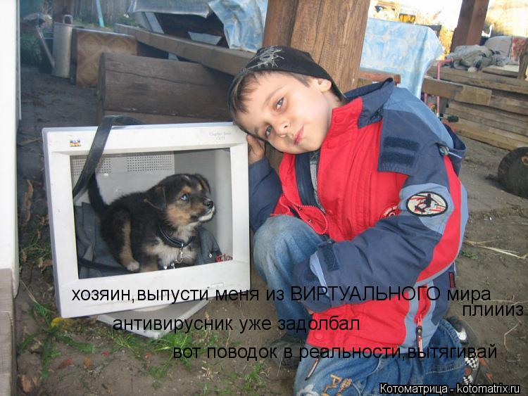 хозяин,выпусти меня из ВИРТУАЛЬНОГО мира антивирусник уже задолбал плиииз вот поводок в реальности,вы... Котоматрица: хозяин,выпусти меня из ВИРТУАЛЬНОГО мира антивирусник уже задолбал плиииз вот поводок в реальности,вытягивай