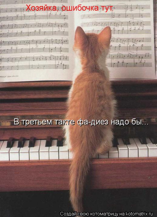 Котоматрица: Хозяйка, ошибочка тут. В третьем такте фа-диез надо бы...