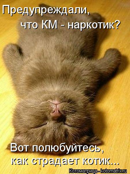 Котоматрица: Предупреждали,  что КМ - наркотик? Вот полюбуйтесь,  как страдает котик...