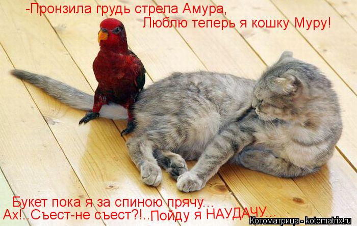 -Пронзила грудь стрела Амура, Люблю теперь я кошку Муру! Букет пока я за спиною прячу... Ах!..Съест-н... Котоматрица: -Пронзила грудь стрела Амура, Люблю теперь я кошку Муру! Букет пока я за спиною прячу... Ах!..Съест-не съест?!.. Пойду я НАУДАЧУ...