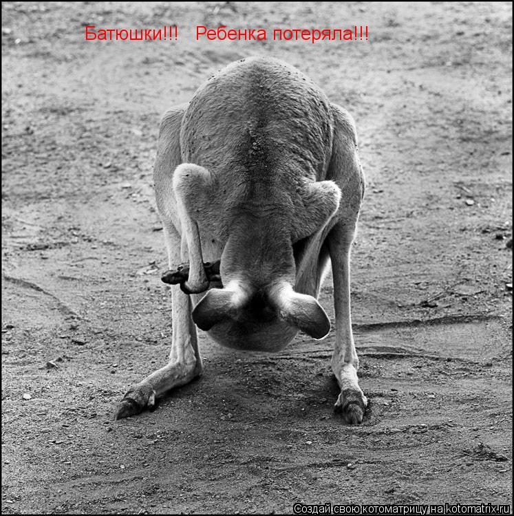 Батюшки!!! Ребенка потеряла!!!... Котоматрица: Батюшки!!! Ребенка потеряла!!!