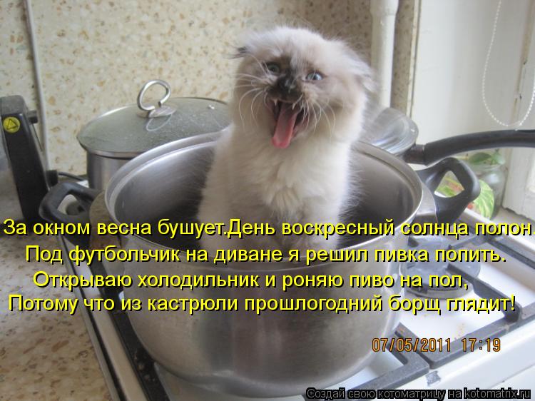 За окном весна бушует.День воскресный солнца полон. Под футбольчик на диване я решил пивка попить. От... Котоматрица: За окном весна бушует.День воскресный солнца полон. Под футбольчик на диване я решил пивка попить. Открываю холодильник и роняю пиво на пол,