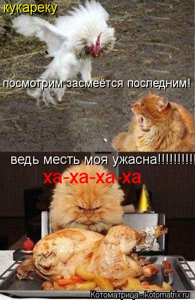 кукареку посмотрим засмеётся последним! ведь месть моя ужасна!!!!!!!!!!!!!!!!!1 ха-ха-ха-ха... Котоматрица: кукареку посмотрим засмеётся последним! ведь месть моя ужасна!!!!!!!!!!!!!!!!!1 ха-ха-ха-ха
