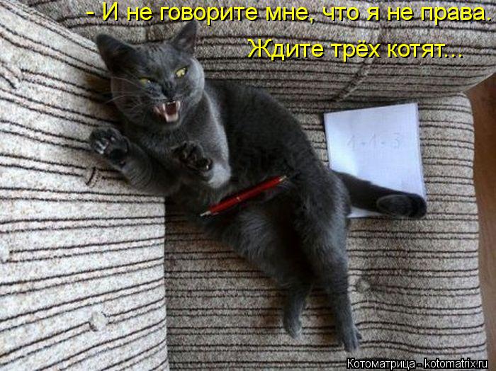- И не говорите мне, что я не права. Ждите трёх котят...... Котоматрица: - И не говорите мне, что я не права. Ждите трёх котят...