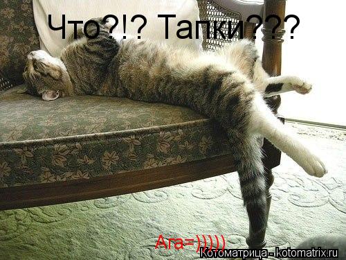 Что?!? Тапки??? Ага=)))))... Котоматрица: Что?!? Тапки??? Ага=)))))