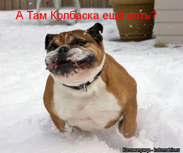 А Там Колбаска ещё есть?... Котоматрица: А Там Колбаска ещё есть?