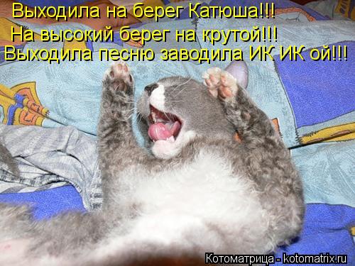 Выходила на берег Катюша!!! Выходила на берег Катюша!!! На высокий берег на крутой!!! Выходила песню ... Котоматрица: Выходила на берег Катюша!!! Выходила на берег Катюша!!! На высокий берег на крутой!!! Выходила песню заводила ИК ИК ой!!!