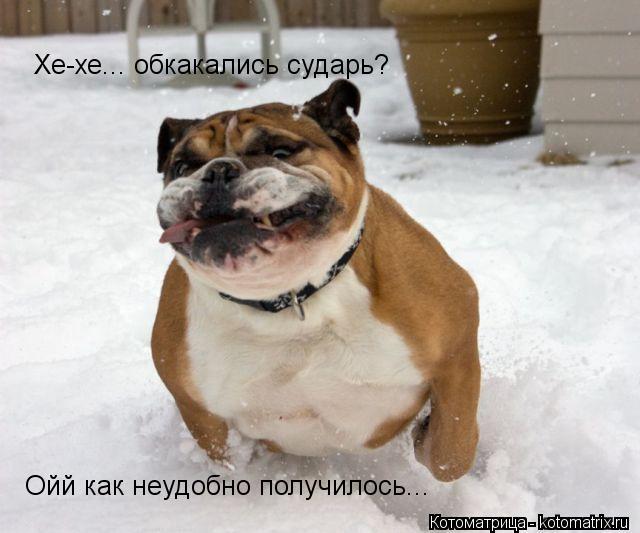 Хе-хе... обкакались сударь? Ойй как неудобно получилось...... Котоматрица: Хе-хе... обкакались сударь? Ойй как неудобно получилось...