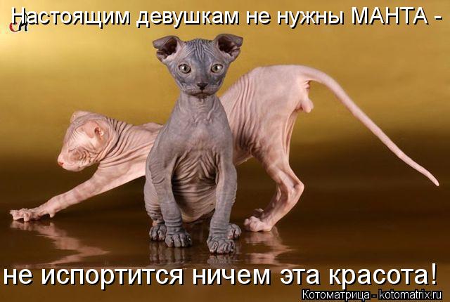 Котоматрица: Настоящим девушкам не нужны МАНТА - не испортится ничем эта красота!