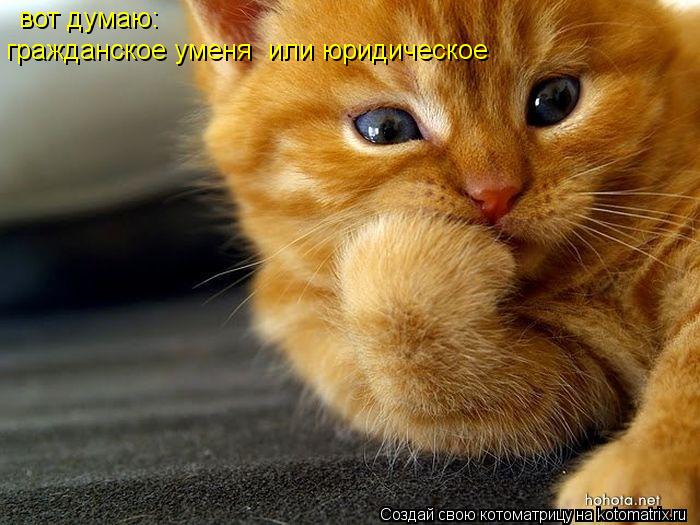 вот думаю: гражданское уменя или юридическое... Котоматрица: вот думаю: гражданское уменя или юридическое