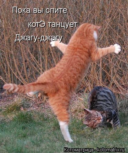 Пока вы спите котЭ танцует Джагу-джагу... Котоматрица: Пока вы спите котЭ танцует Джагу-джагу