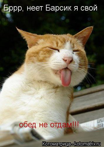 Бррр, неет Барсик я свой обед не отдам!!!... Котоматрица: Бррр, неет Барсик я свой обед не отдам!!!