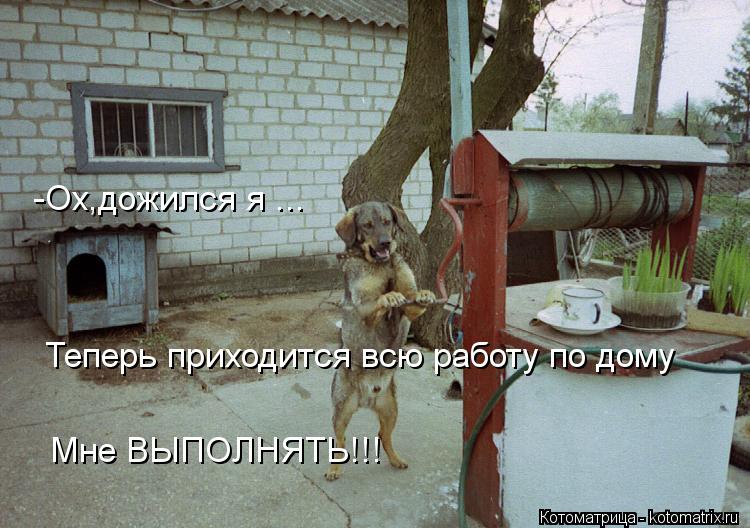 -Ох,дожился я ... Теперь приходится всю работу по дому Мне ВЫПОЛНЯТЬ!!!... Котоматрица: -Ох,дожился я ... Теперь приходится всю работу по дому Мне ВЫПОЛНЯТЬ!!!