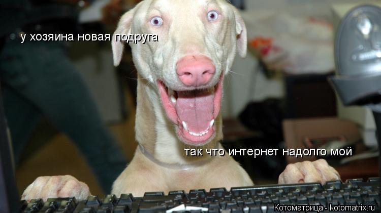 у хозяина новая подруга так что интернет надолго мой... Котоматрица: у хозяина новая подруга так что интернет надолго мой