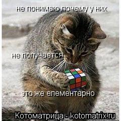 не понимаю,почему у них не получается это же елементарно... Котоматрица: не понимаю,почему у них не получается это же елементарно