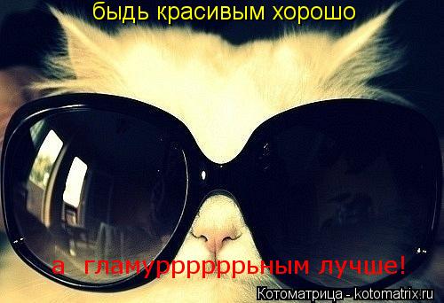 быдь красивым хорошо а гламуррррррьным лучше!... Котоматрица: быдь красивым хорошо а гламуррррррьным лучше!