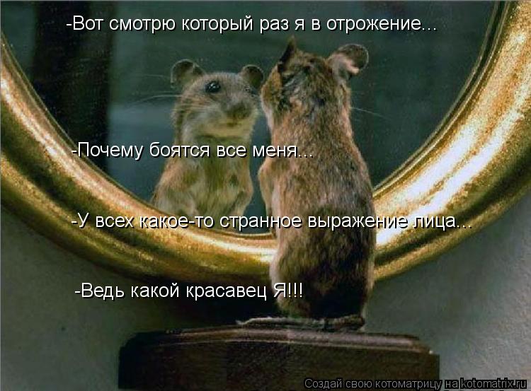 -Вот смотрю который раз я в отрожение... -Почему боятся все меня... -У всех какое-то странное выражен... Котоматрица: -Вот смотрю который раз я в отрожение... -Почему боятся все меня... -У всех какое-то странное выражение лица... -Ведь какой красавец Я!!!