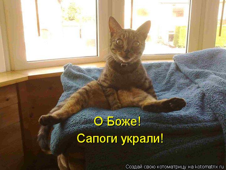 О Боже! Сапоги украли!... Котоматрица: О Боже! Сапоги украли!