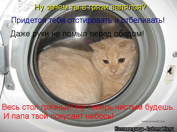 Ну зачем ты в грязи валялся? Придется тебя отстировать и отбеливать! Даже руки не помыл перед обедом!... Котоматрица: Ну зачем ты в грязи валялся? Придется тебя отстировать и отбеливать! Даже руки не помыл перед обедом! Весь стол грязный! Ну теперь чистым буд