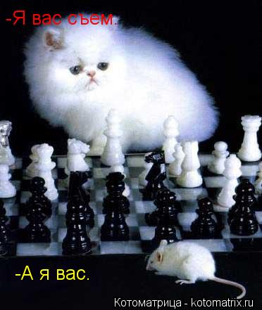 -Я вас съем. -А я вас.... Котоматрица: -Я вас съем. -А я вас.