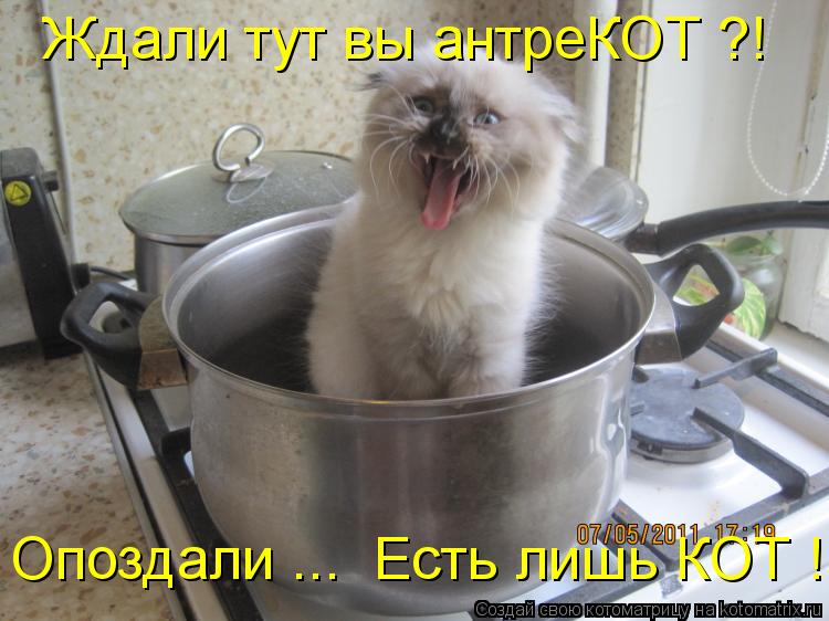 Ждали тут вы антреКОТ ?! Опоздали ... Есть лишь КОТ !... Котоматрица: Ждали тут вы антреКОТ ?! Опоздали ... Есть лишь КОТ !