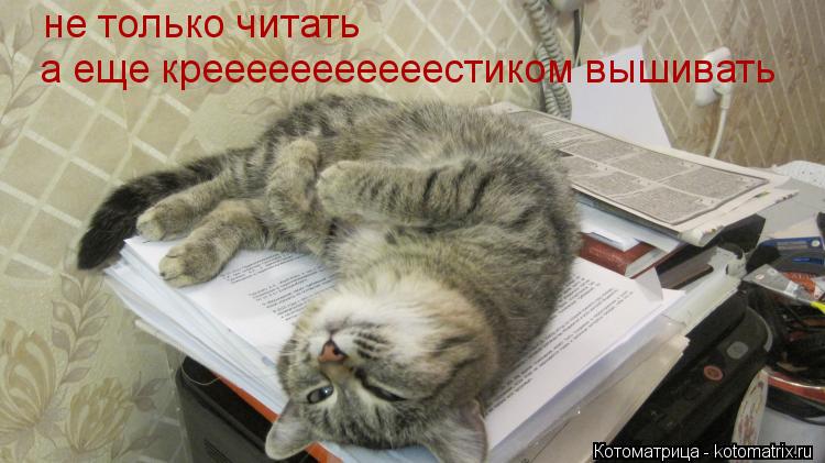 не только читать а еще крееееееееееестиком вышивать... Котоматрица: не только читать а еще крееееееееееестиком вышивать