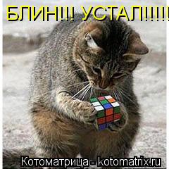 БЛИН!!! УСТАЛ!!!!!... Котоматрица: БЛИН!!! УСТАЛ!!!!!