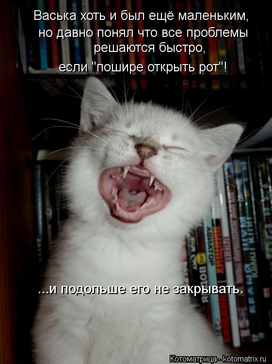 Васька хоть и был ещё маленьким, но давно понял что все проблемы решаются быстро, если "пошире откры... Котоматрица: Васька хоть и был ещё маленьким, но давно понял что все проблемы решаются быстро, если "пошире открыть рот"! ...и подольше его не закрывать.