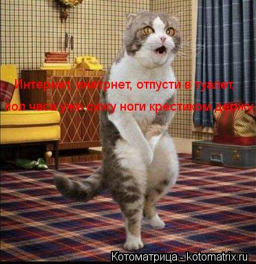 Интернет, инетрнет, отпусти в туалет, пол часа уже сижу ноги крестиком держу... Котоматрица: Интернет, инетрнет, отпусти в туалет, пол часа уже сижу ноги крестиком держу