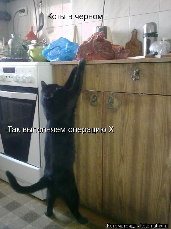 -Так выполняем операцию X Коты в чёрном :... Котоматрица: -Так выполняем операцию X Коты в чёрном :