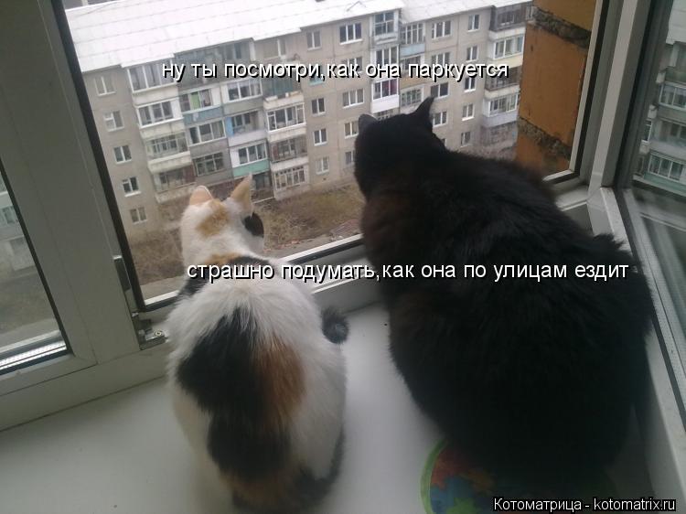 ну ты посмотри,как она паркуе ну ты посмотри,как она паркуется страшно подумать,как она по улицам езд... Котоматрица: ну ты посмотри,как она паркуе ну ты посмотри,как она паркуется страшно подумать,как она по улицам ездит