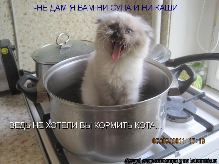 -НЕ ДАМ Я ВАМ НИ СУПА И НИ КАШИ! ВЕДЬ НЕ ХОТЕЛИ ВЫ КОРМИТЬ КОТА...... Котоматрица: -НЕ ДАМ Я ВАМ НИ СУПА И НИ КАШИ! ВЕДЬ НЕ ХОТЕЛИ ВЫ КОРМИТЬ КОТА...