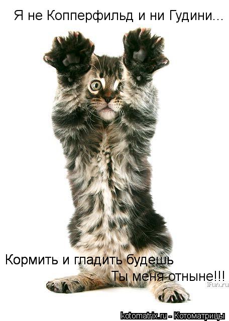 Я не Копперфильд и ни Гудини... Кормить и гладить будешь Кормить и гладить будешь Ты меня отныне!!!... Котоматрица: Я не Копперфильд и ни Гудини... Кормить и гладить будешь Кормить и гладить будешь Ты меня отныне!!!