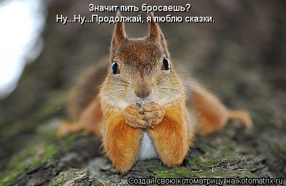 Значит пить бросаешь? Ну...Ну...Продолжай, я люблю сказки.... Котоматрица: Значит пить бросаешь? Ну...Ну...Продолжай, я люблю сказки.