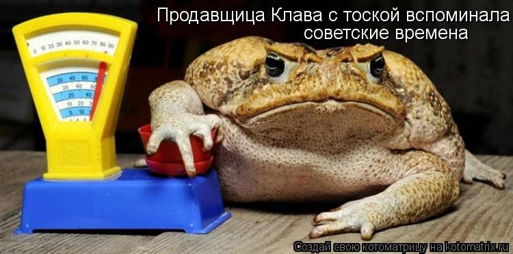 Котоматрица: советские времена Продавщица Клава с тоской вспоминала