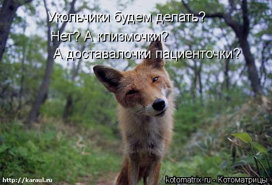 Котоматрица: Укольчики будем делать? Нет? А клизмочки? А доставалочки пациенточки?