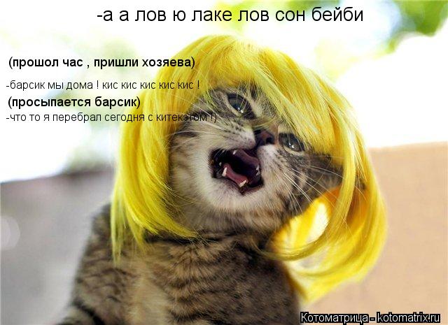 Котоматрица: -а а лов ю лаке лов сон бейби -барсик мы дома ! кис кис кис кис кис ! (просыпается барсик) (прошол час , пришли хозяева) -что то я перебрал сегодня