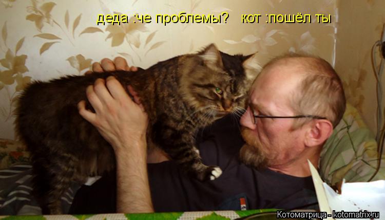 Котоматрица: деда :че проблемы?   кот :пошёл ты