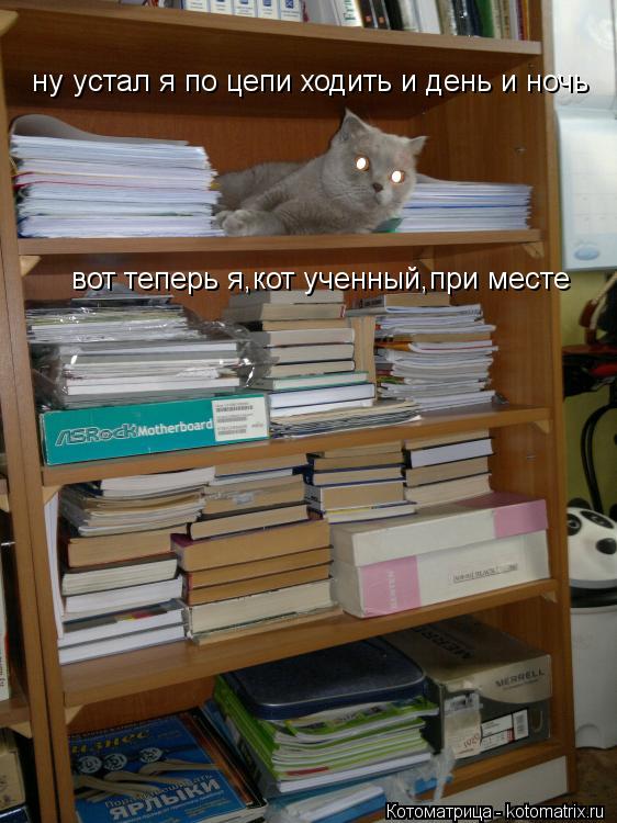 Котоматрица: ну устал я по цепи ходить и день и ночь вот теперь я,кот ученный,при месте