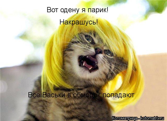 Вот одену я парик! Накрашусь! Все Васьки в обморок попадают... Котоматрица: Вот одену я парик! Накрашусь! Все Васьки в обморок попадают