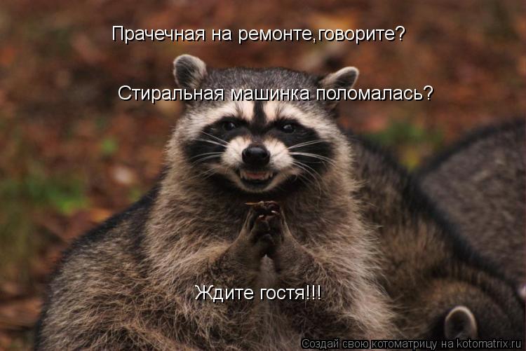 Котоматрица: Прачечная на ремонте,говорите? Стиральная машинка поломалась? Ждите гостя!!!