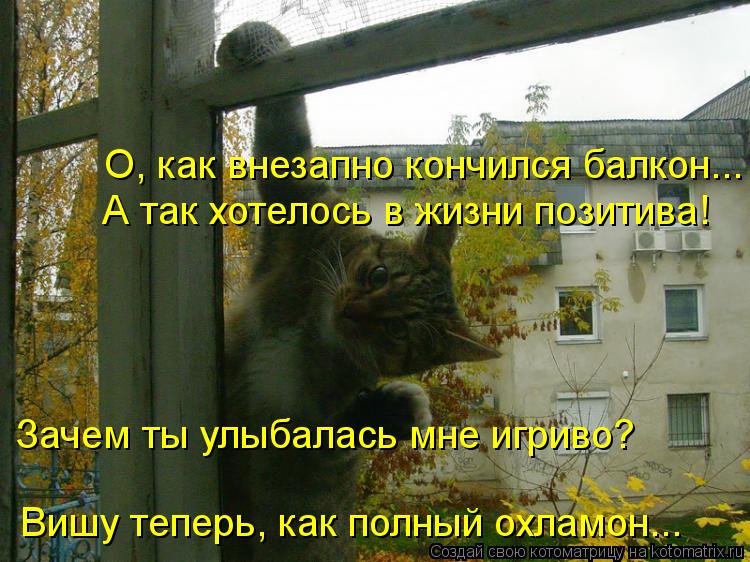 О, как внезапно кончился балкон... А так хотелось в жизни позитива! Зачем ты улыбалась мне игриво? В... Котоматрица: О, как внезапно кончился балкон... А так хотелось в жизни позитива! Зачем ты улыбалась мне игриво? Вишу теперь, как полный охламон...