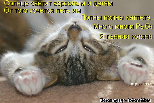 Котоматрица: Солнце светит взрослым и детям От того хочется петь им Полны полны катлета..  Много многи Рыбя Я пьяняя котяяя
