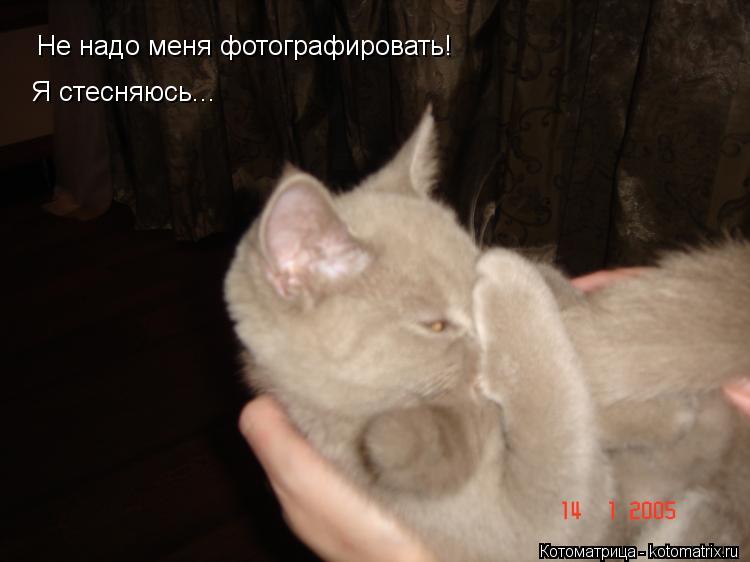 Не надо меня фотографировать! Я стесняюсь...... Котоматрица: Не надо меня фотографировать! Я стесняюсь...