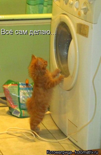 Всё сам делаю...... Котоматрица: Всё сам делаю...