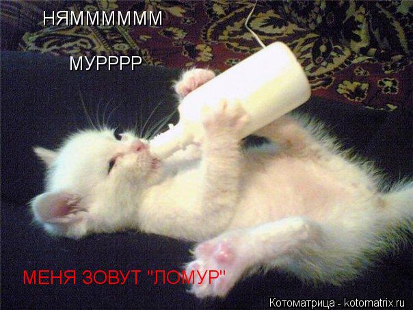 НЯММММММ МУРРРР МЕНЯ ЗОВУТ "ЛОМУР"... Котоматрица: НЯММММММ МУРРРР МЕНЯ ЗОВУТ "ЛОМУР"