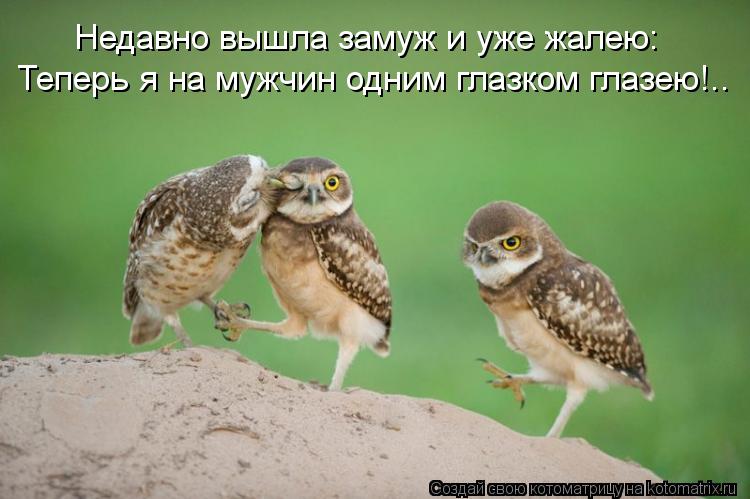 Котоматрица: Недавно вышла замуж и уже жалею: Теперь я на мужчин одним глазком глазею!..