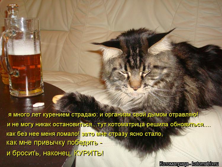 Котоматрица: я много лет курением страдаю: и организм свой дымом отравляю! и не могу никак остановиться...тут котоматрица решила обновиться.... как без нее