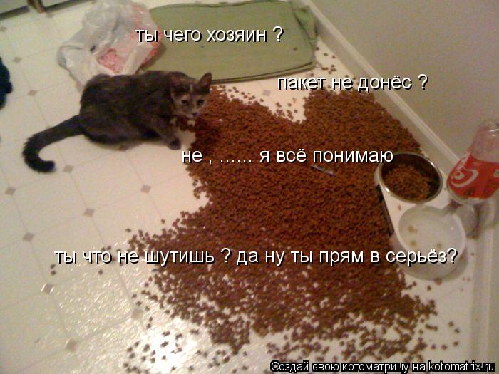 Котоматрица: ты чего хозяин ?  ты чего хозяин ?  пакет не донёс ? не , ...... я всё понимаю  ты что не шутишь ? да ну ты прям в серьёз?